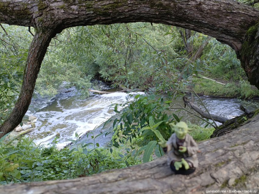 И снова немного Магистра Йоды на природе