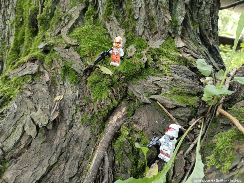 И снова немного Магистра Йоды на природе (фото 4)