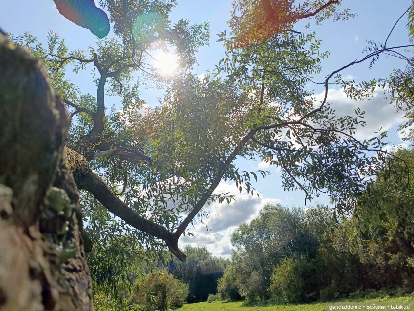 И снова немного Магистра Йоды на природе