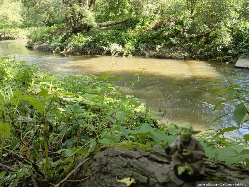 И снова немного Магистра Йоды на природе
