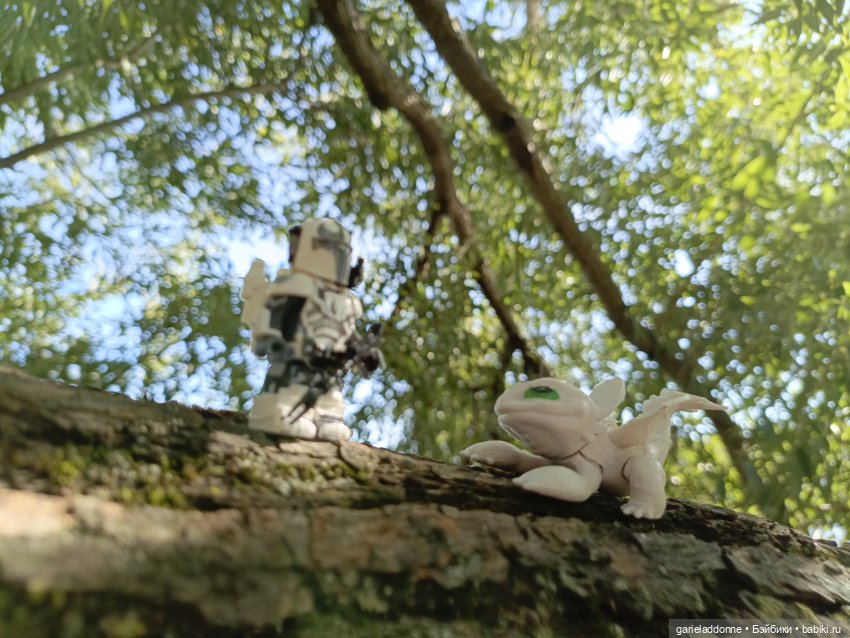 Двое на Симурге, не считая Дракоши