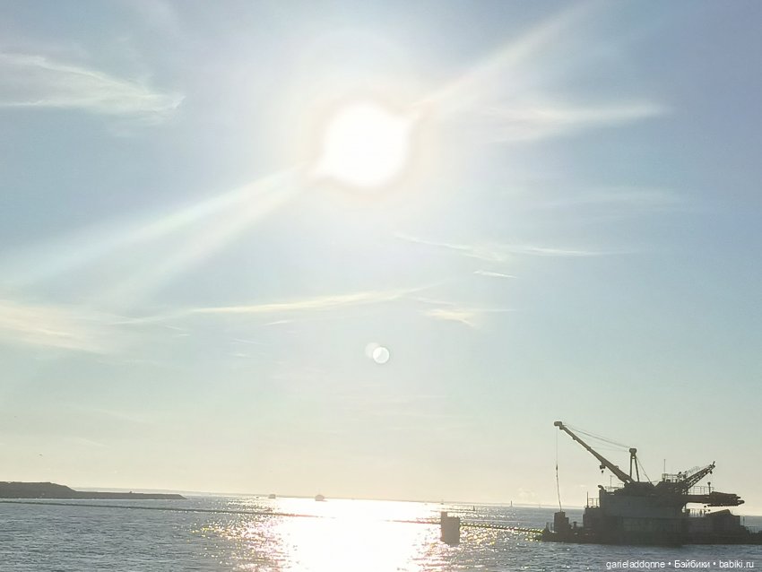 Двое на Симурге, не считая Дракоши