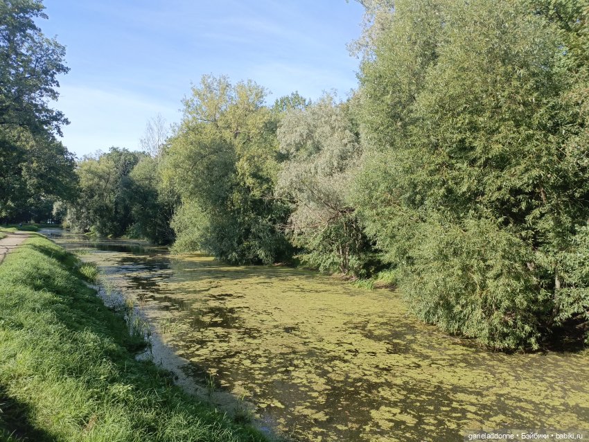 Двое на Симурге, не считая Дракоши
