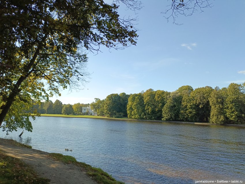 Двое на Симурге, не считая Дракоши