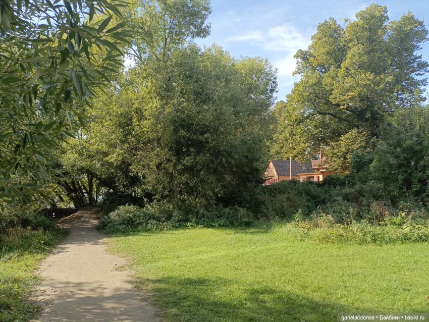 Двое на Симурге, не считая Дракоши