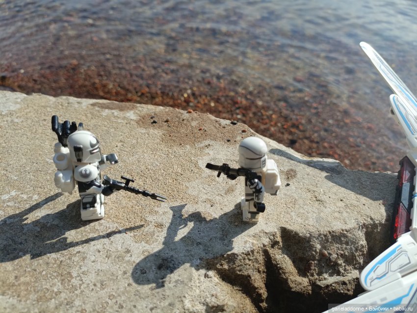 Двое на Симурге, не считая Дракоши