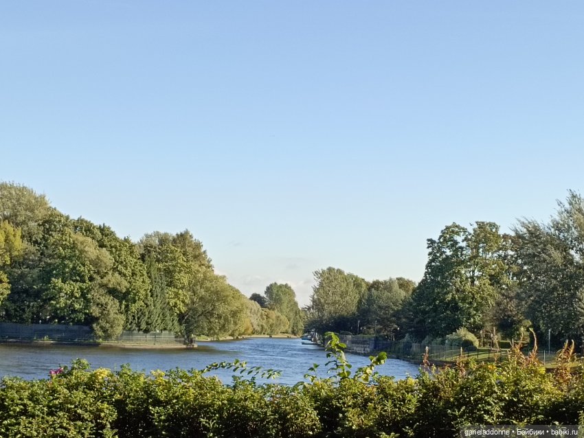 Двое на Симурге, не считая Дракоши