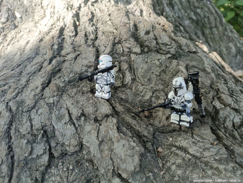 Двое на Симурге, не считая Дракоши (фото 8)