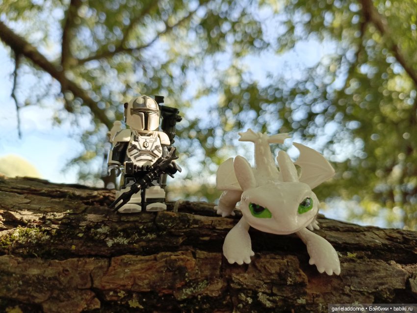 Двое на Симурге, не считая Дракоши