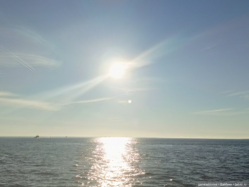 Двое на Симурге, не считая Дракоши