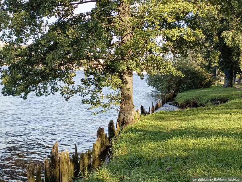 Двое на Симурге, не считая Дракоши