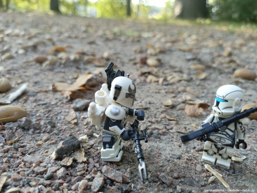 Двое на Симурге, не считая Дракоши