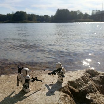 Двое на Симурге, не считая Дракоши