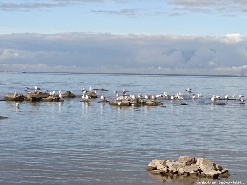 Дорога к морю — Куклы Phicen (TBLeague/Фицен): бесшовные тела