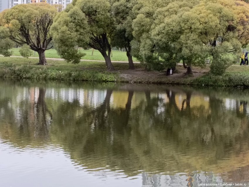 Дорога к морю — Куклы Phicen (TBLeague/Фицен): бесшовные тела (фото 10)