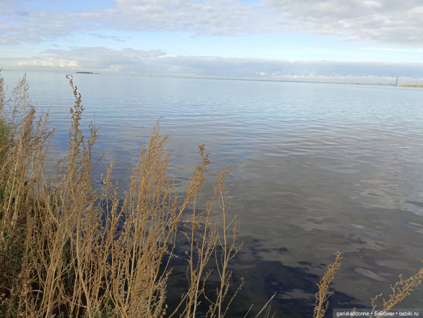 Дорога к морю — Куклы Phicen (TBLeague/Фицен): бесшовные тела