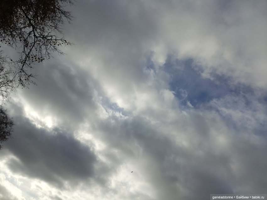 Падение Предвестника — Зарисовки из кукольной жизни: фотоистории