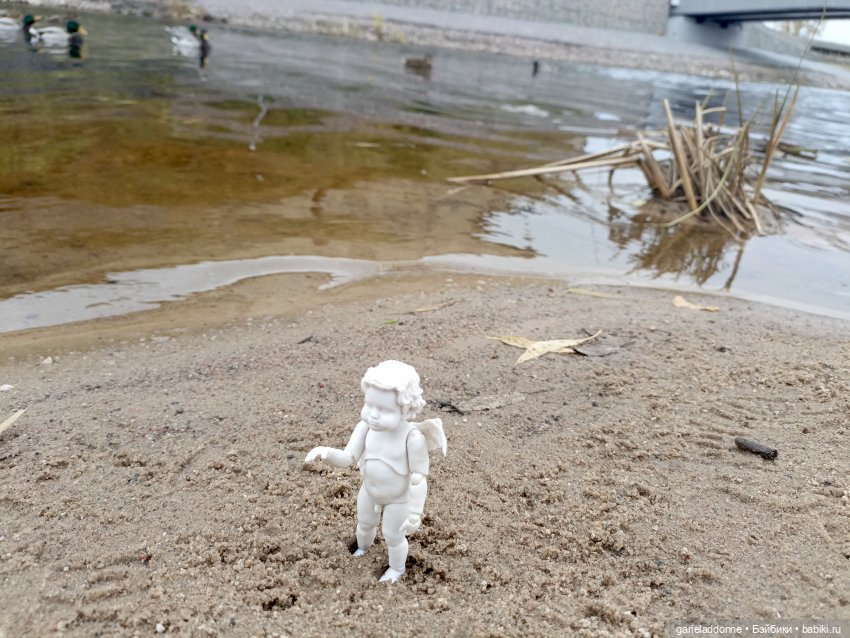 Падение Предвестника — Зарисовки из кукольной жизни: фотоистории