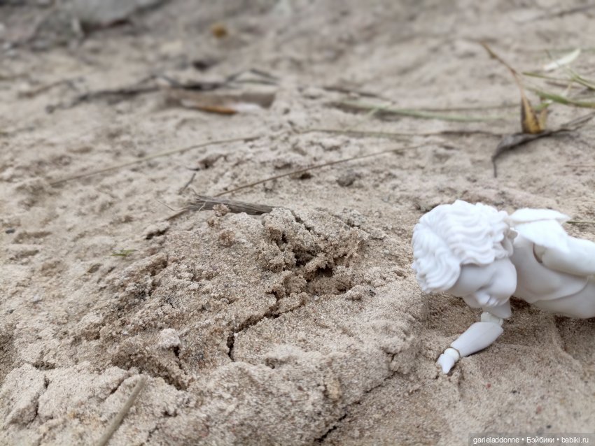 Падение Предвестника — Зарисовки из кукольной жизни: фотоистории