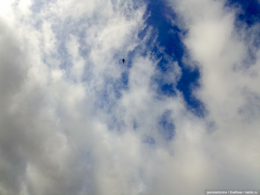 Падение Предвестника — Зарисовки из кукольной жизни: фотоистории (фото 9)