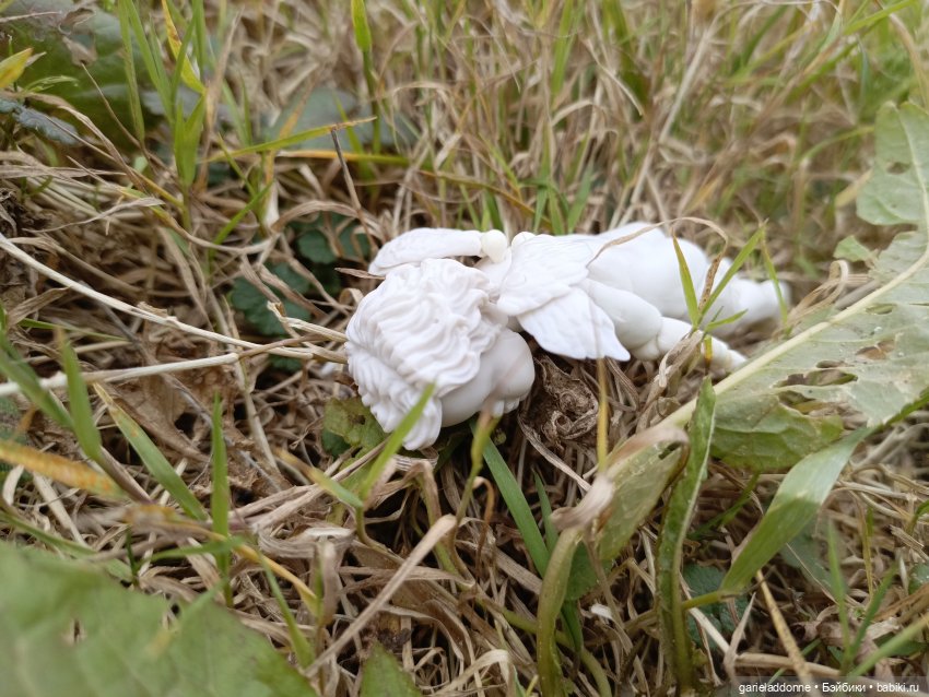 Падение Предвестника — Зарисовки из кукольной жизни: фотоистории