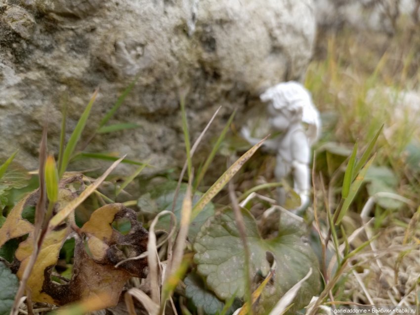 Падение Предвестника — Зарисовки из кукольной жизни: фотоистории