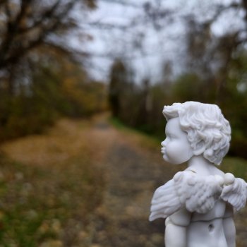 Падение Предвестника