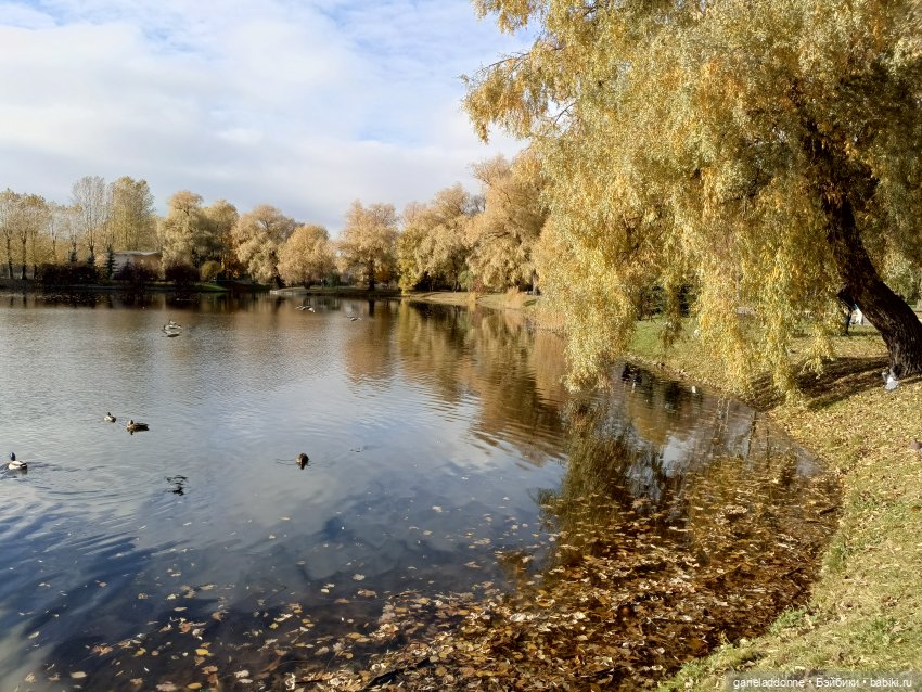 Падение Предвестника часть 2