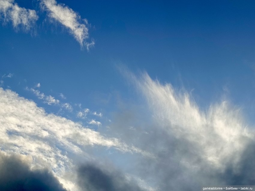 Падение Предвестника часть 3 (фото 2)