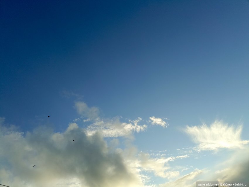 Падение Предвестника часть 3 (фото 7)