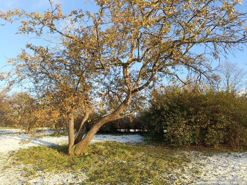 Падение Предвестника часть 5