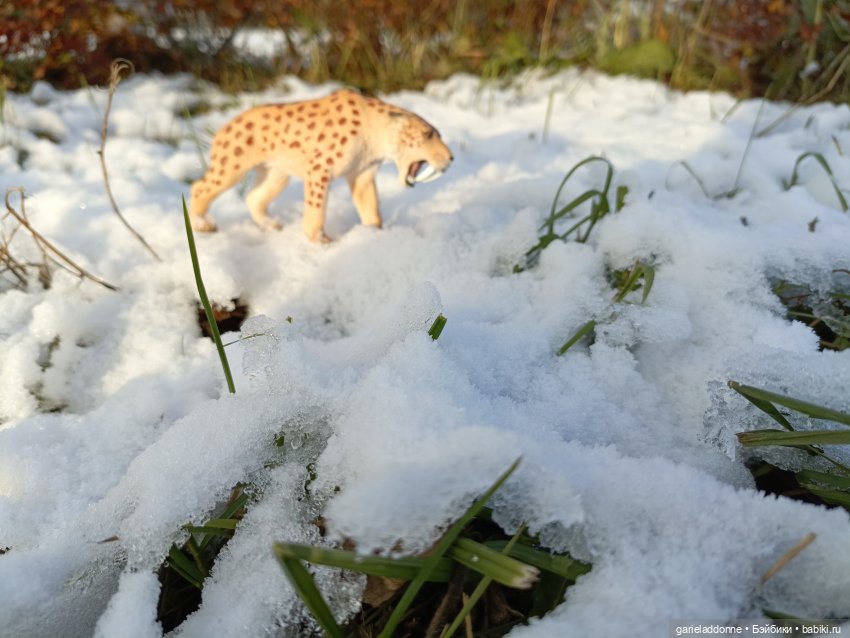 Падение Предвестника часть 5