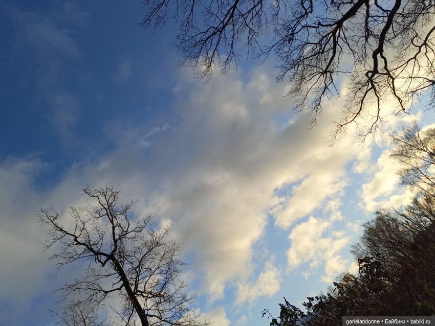 Падение Предвестника часть 5