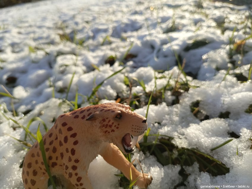 Падение Предвестника часть 5