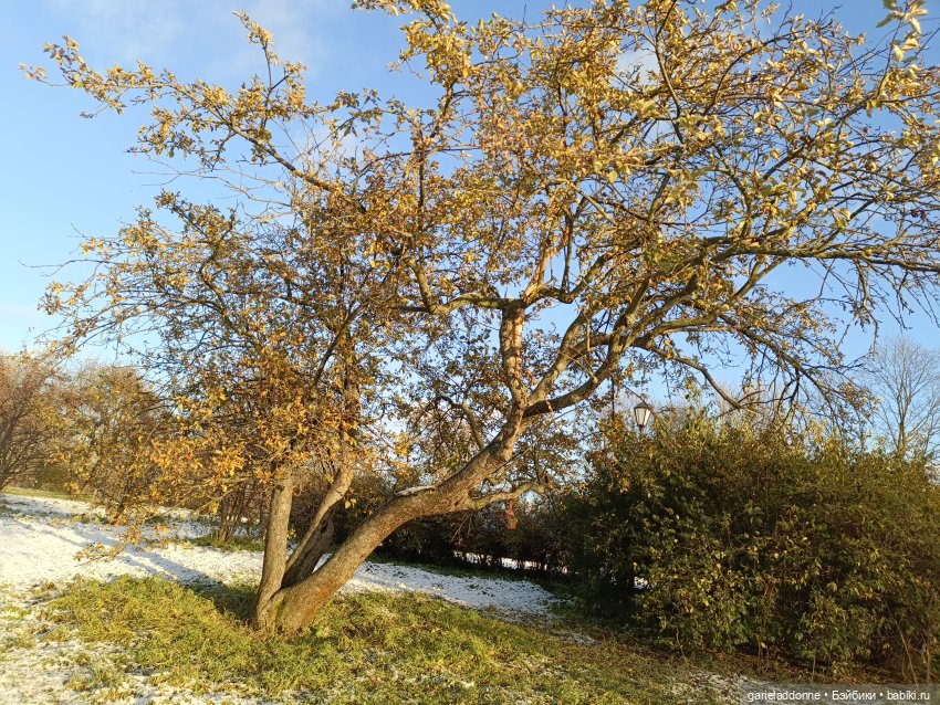 Падение Предвестника часть 5