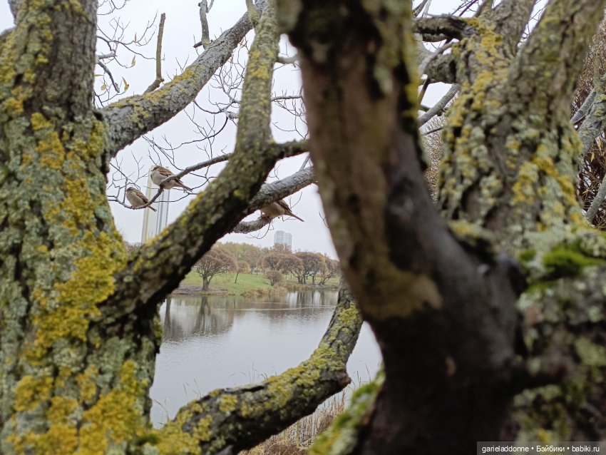 Падение Предвестника часть 4