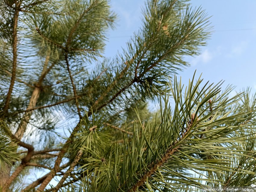 Падение Предвестника часть 5 (фото 10)