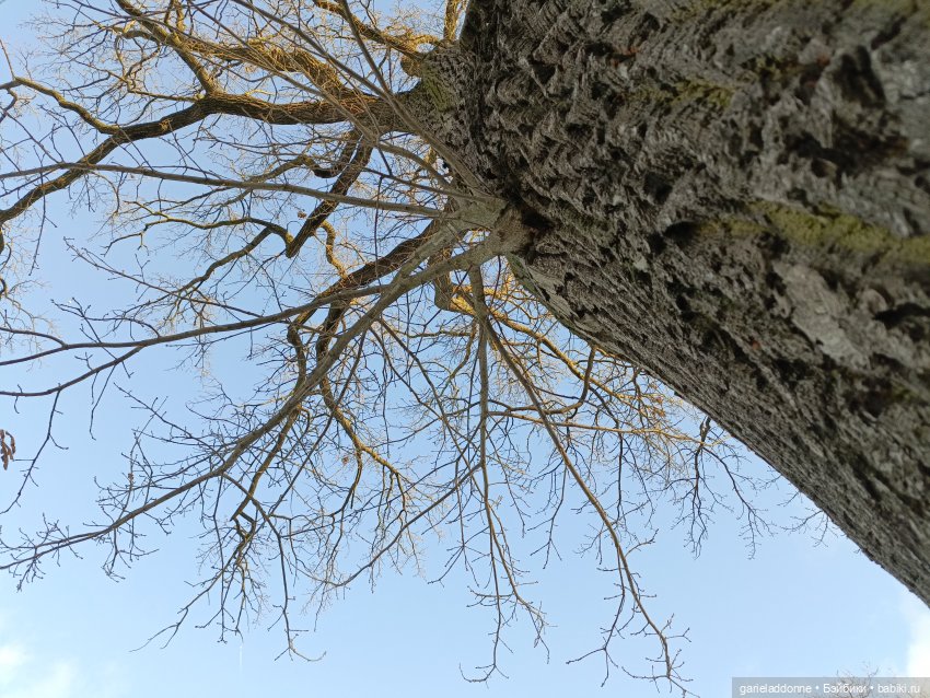 Падение Предвестника часть 5