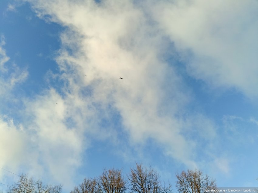 Падение Предвестника часть 5