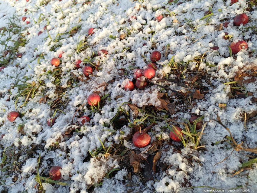 Падение Предвестника часть 5