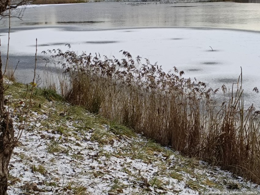 Полукровка — Зарисовки из кукольной жизни: фотоистории