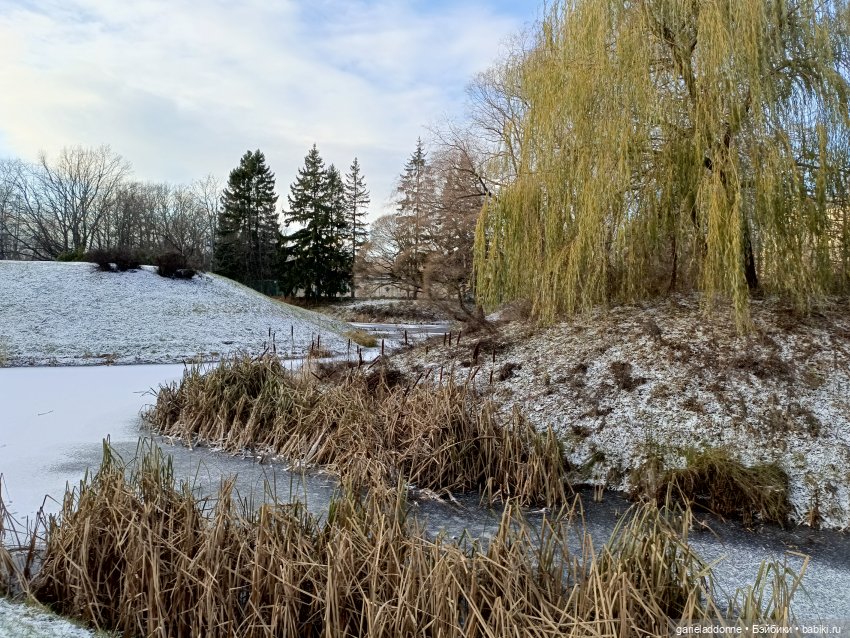 Полукровка — Зарисовки из кукольной жизни: фотоистории