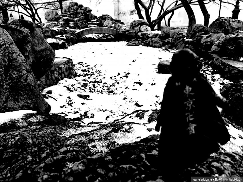 Полукровка лесной луны — Зарисовки из кукольной жизни: фотоистории (фото 2)