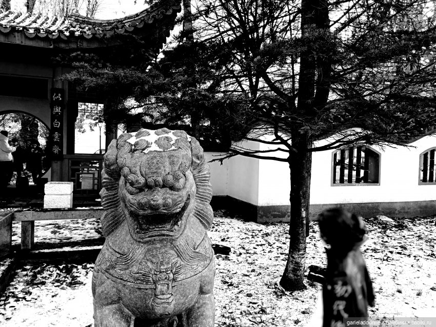 Полукровка лесной луны — Зарисовки из кукольной жизни: фотоистории (фото 10)