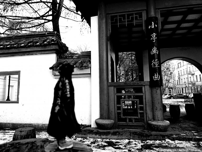 Полукровка лесной луны — Зарисовки из кукольной жизни: фотоистории