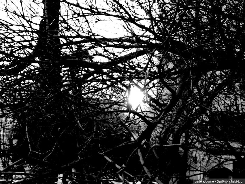 Полукровка лесной луны — Зарисовки из кукольной жизни: фотоистории (фото 4)