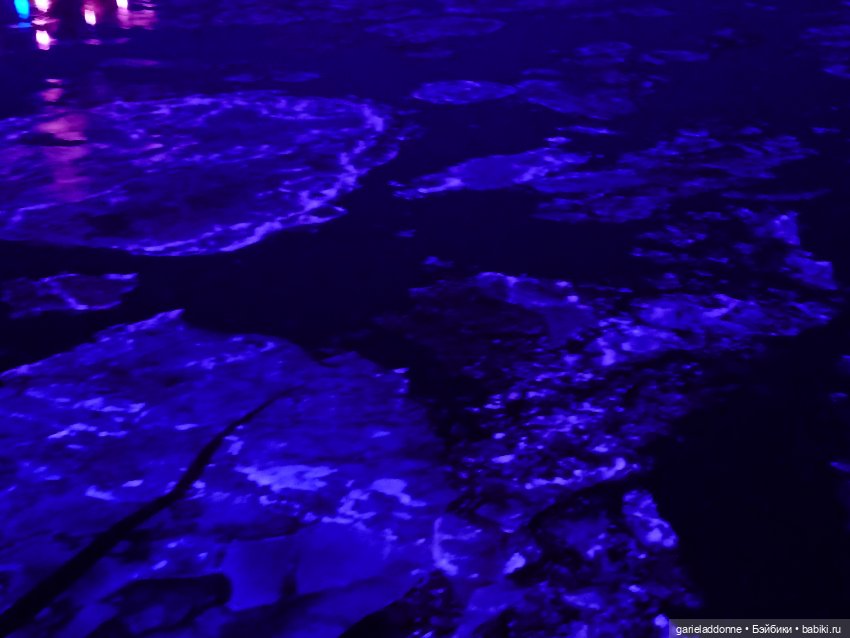 Терновое вино — Зарисовки из кукольной жизни: фотоистории