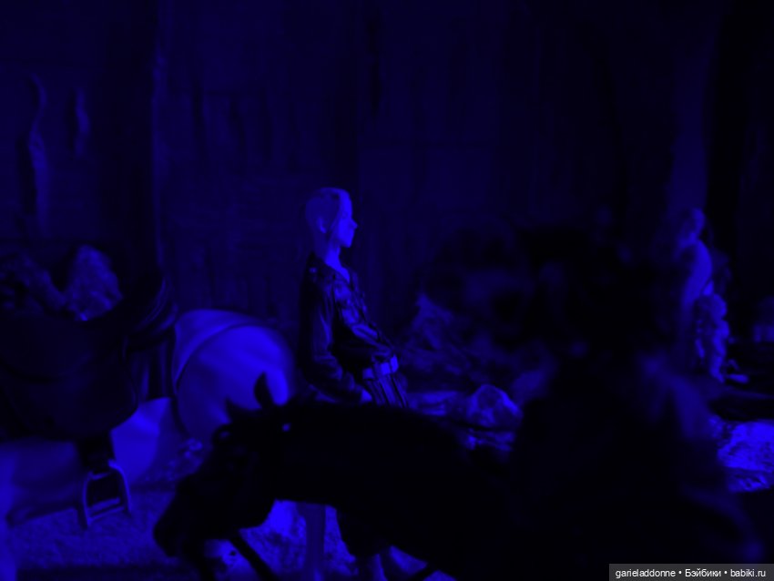 Терновое вино — Зарисовки из кукольной жизни: фотоистории