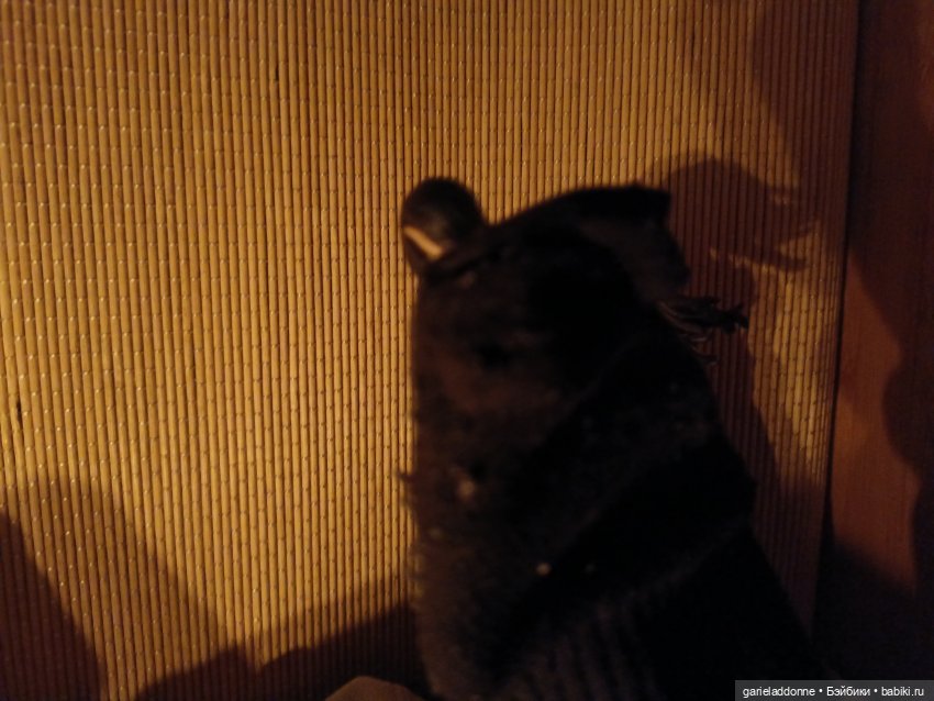 Терновое вино часть 7 — Зарисовки из кукольной жизни: фотоистории