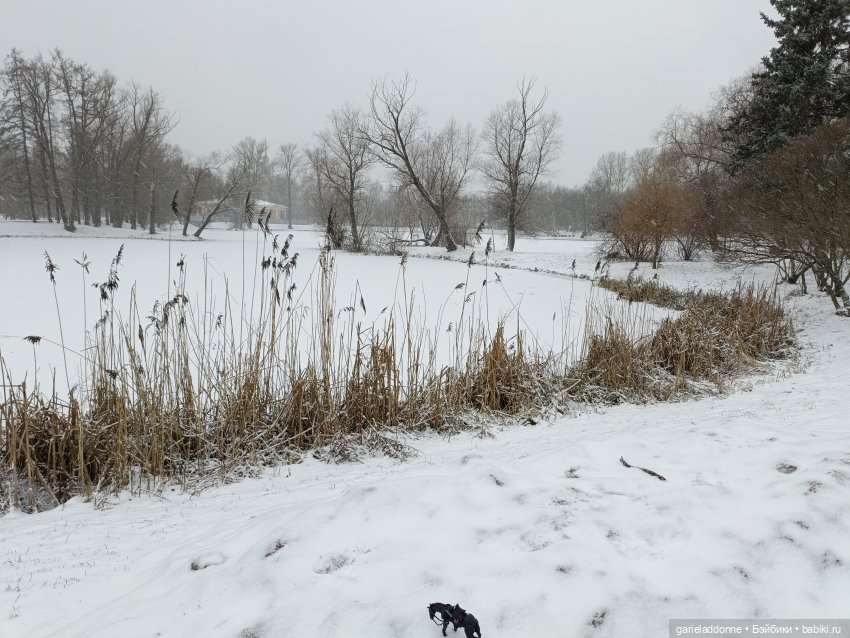 Терновое вино часть 8 — Зарисовки из кукольной жизни: фотоистории